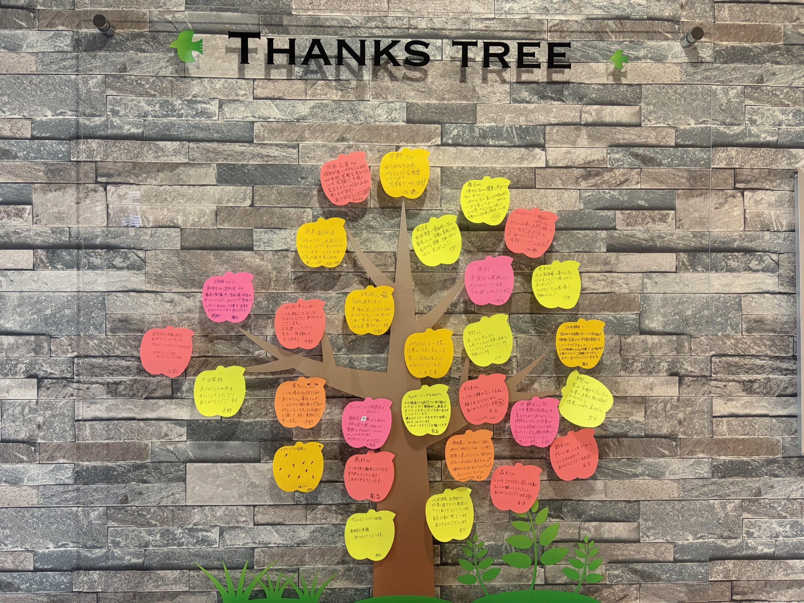サンクスツリーの様子